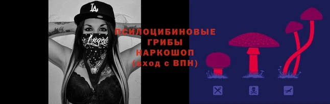 бошки Наволоки
