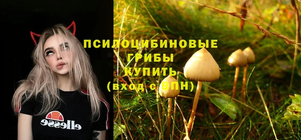 2c-b Навашино