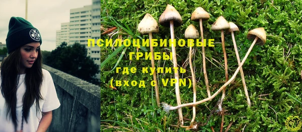 трава Надым