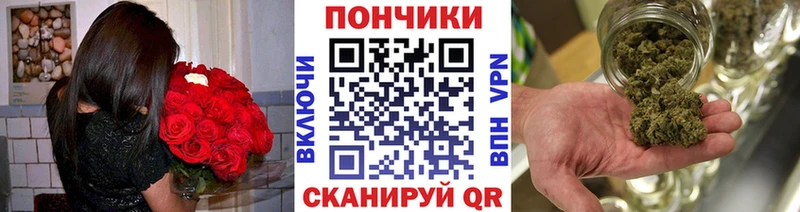 Бошки Шишки Amnesia Хилок